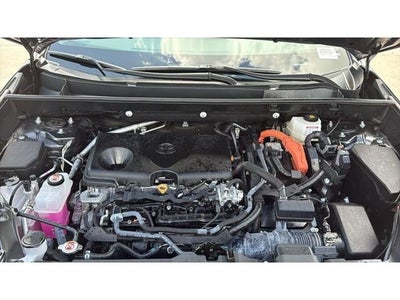 2025 Toyota RAV4 Hybrid XLE Premium
