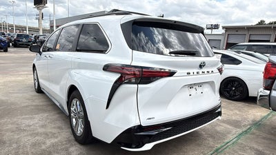 2023 Toyota Sienna XSE 7 Passenger