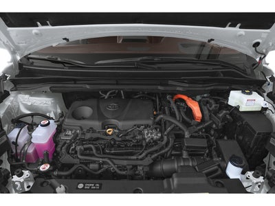 2026 Toyota Sienna Platinum 7 Passenger