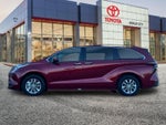 2026 Toyota Sienna XLE 8 Passenger