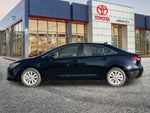 2026 Toyota Corolla XLE